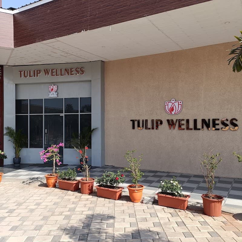 Tulip Spa & Saloon Raipur photo