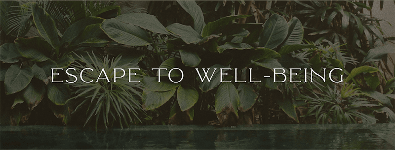 Tulum Wellness Spa Houston photo