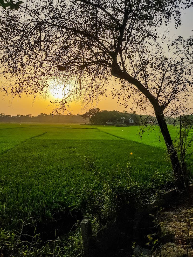 Twiletap Dohar photo