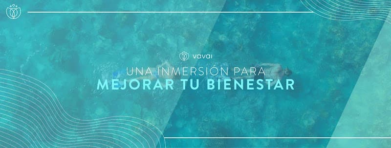 Vavai Spa Chihuahua photo