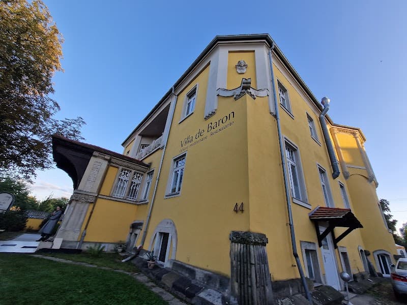 Villa De Baron Dresden photo