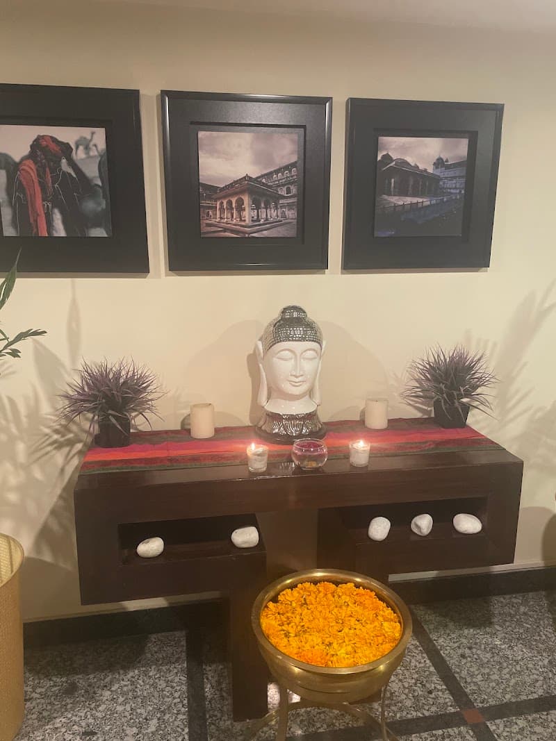 Wellqo Da Spa Jaipur photo