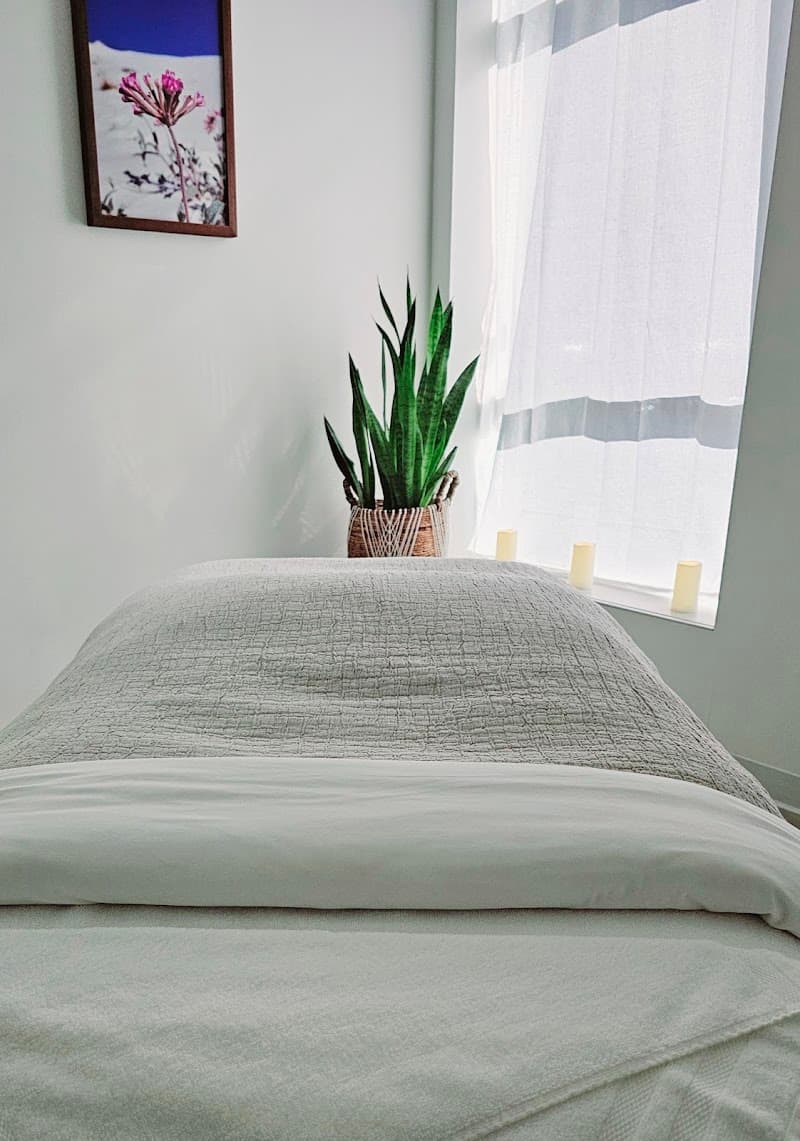 Wholistic Skin Spa Eagan photo