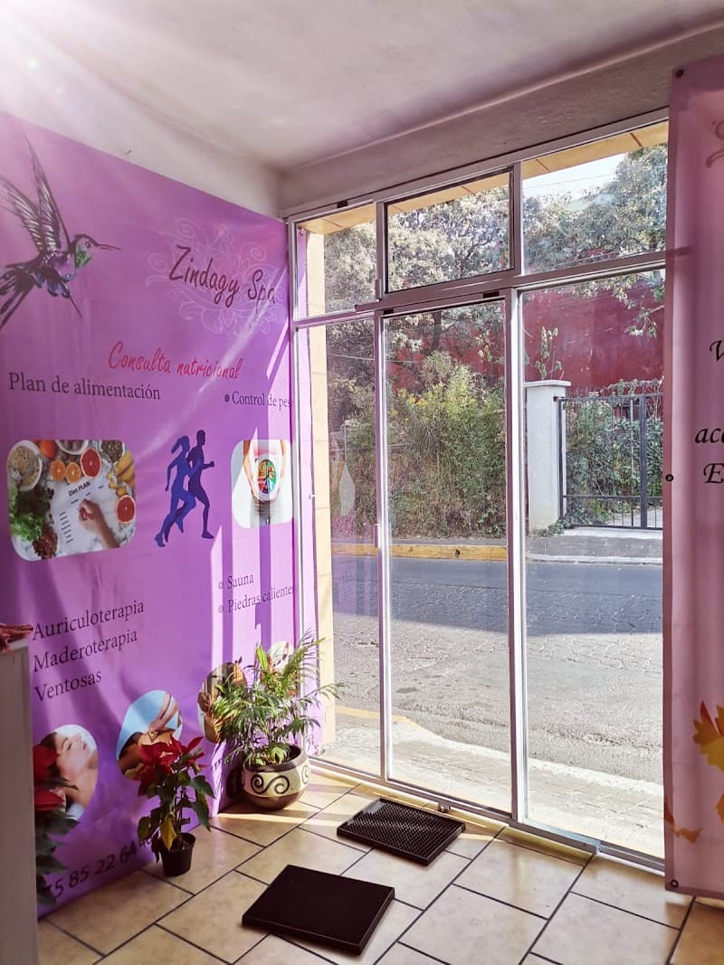 Tlalpan zindagy spa photo