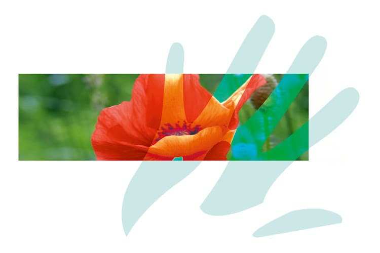 Saint-Barthélemy 6e Sens Massage photo