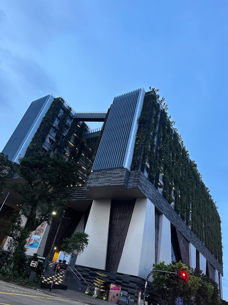 Singapore 8 Medi-Aesthetics photo