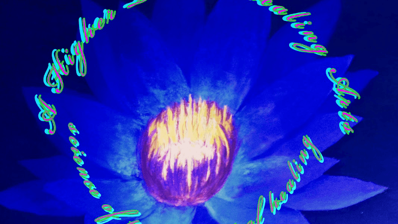 A Higher Touch art of healing science of massage Bellevue photo