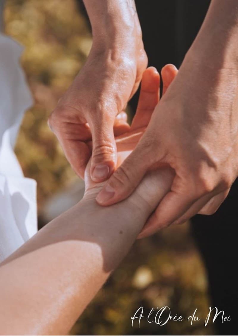 A l'Oree du Moi La Balme-de-Sillingy photo