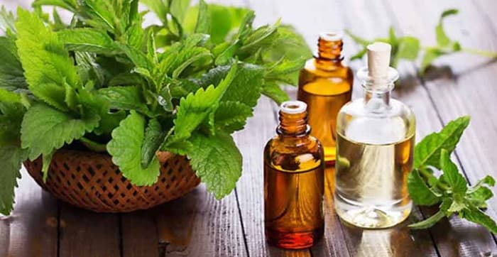 A la recherche du bien-être Maisons-Alfort photo