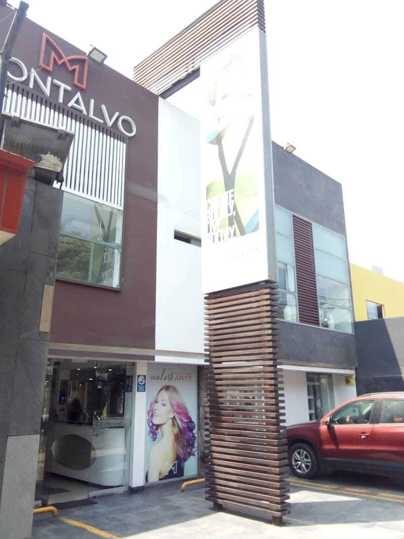 A. Montalvo SPA Santiago de Surco photo