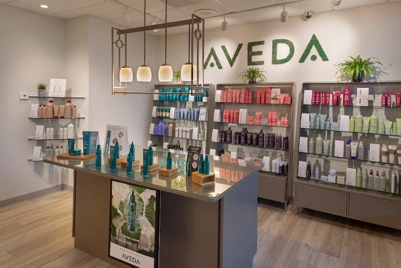 A New Beginning, an AVEDA Lifestyle Salon and Day Spa Bethel photo