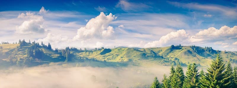 A Peaceful Place Massage & Wellness Halfmoon photo