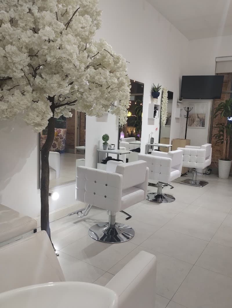 A V Y N A salon NR Hermosillo photo