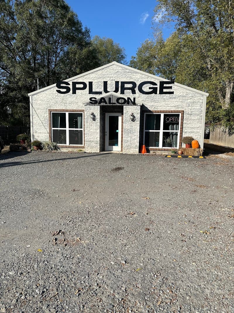 AAA Splurge Salon & Day Spa Beebe photo