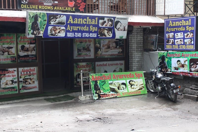Aanchal Ayurveda Spa- Professional Spa Manali photo