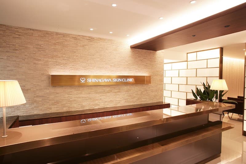 Acne Specialty Clinical Esthe Mew Shinagawa Ward photo
