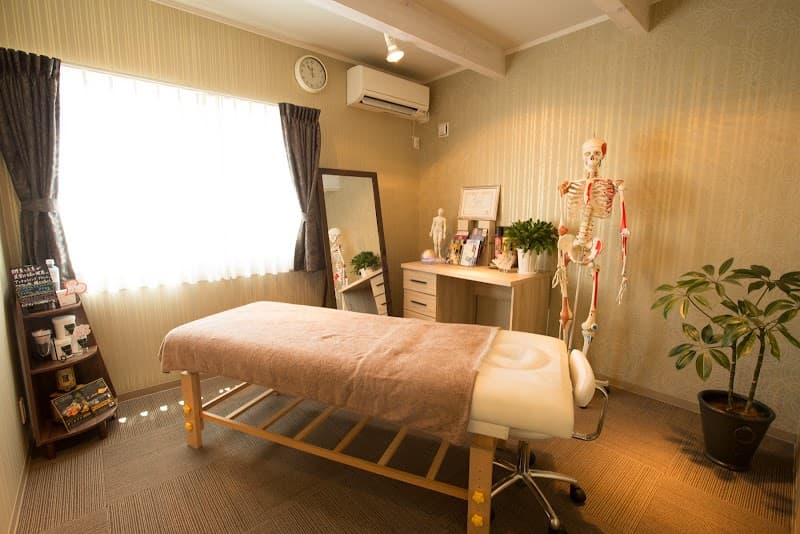 Acupuncture and Massage Saishindo Saku City photo