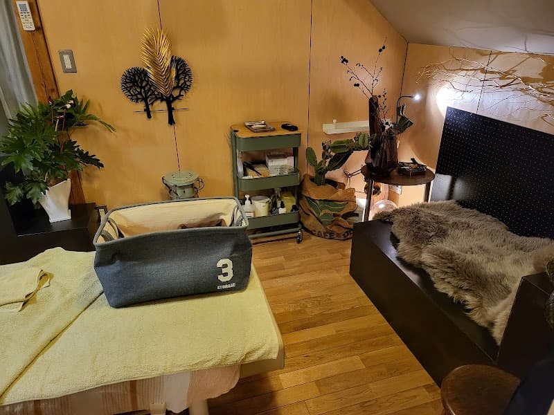 Acupuncture Seitai Treatment Clinic Ueharaya Maebashi City photo