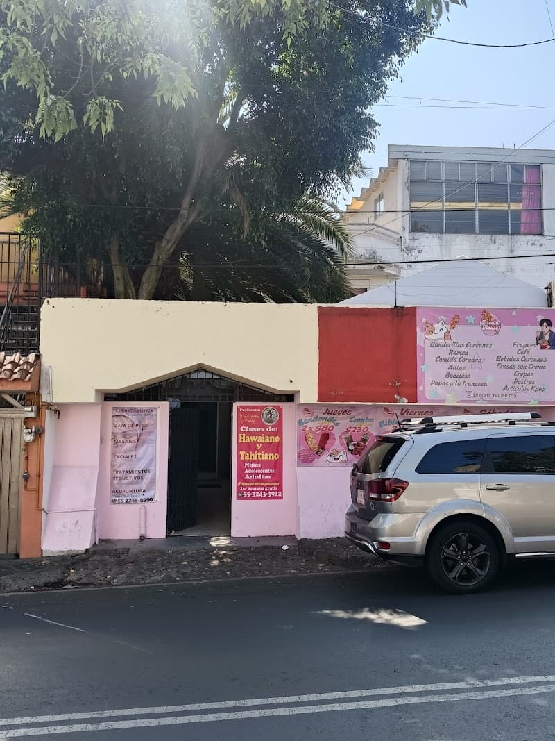 Acupuntura Lasser spa Tlalpan photo