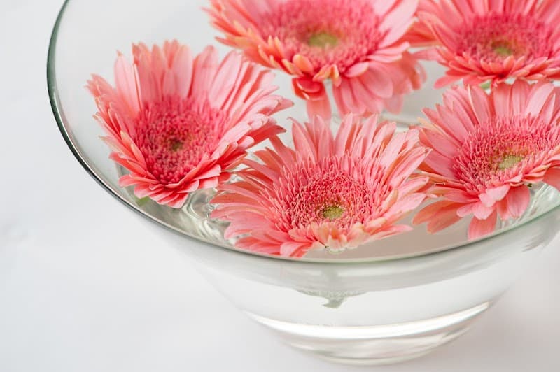 Aesthetics by Marina Nampa photo