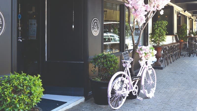 Africology Spa Parkhurst Randburg photo