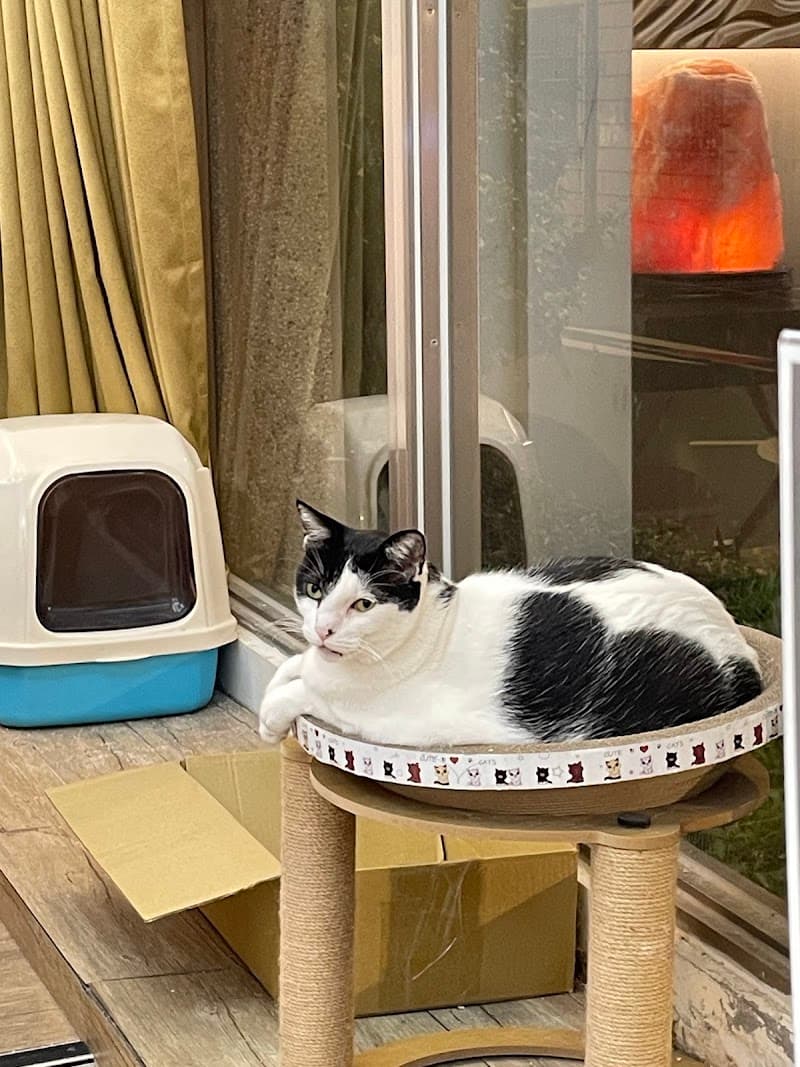 Ai Mei Ge Beauty & Body Spa Lifestyle Center Zhudong Township photo