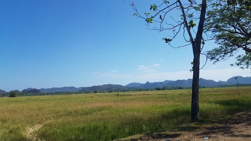 Air Hangat Village Ayer Hangat photo