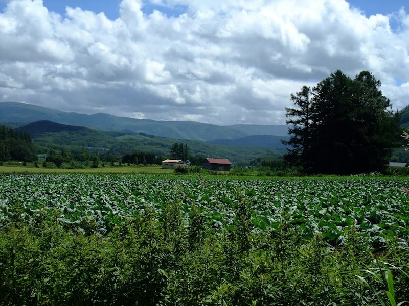 Akaigawa Village Office Akaigawa Caldera Onsen & Recreation Center Yoichi District Akaigawa Village photo