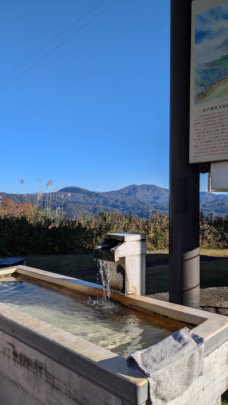 Akakura Onsen Ohno Tenburo Taki no Yu Myoko City photo