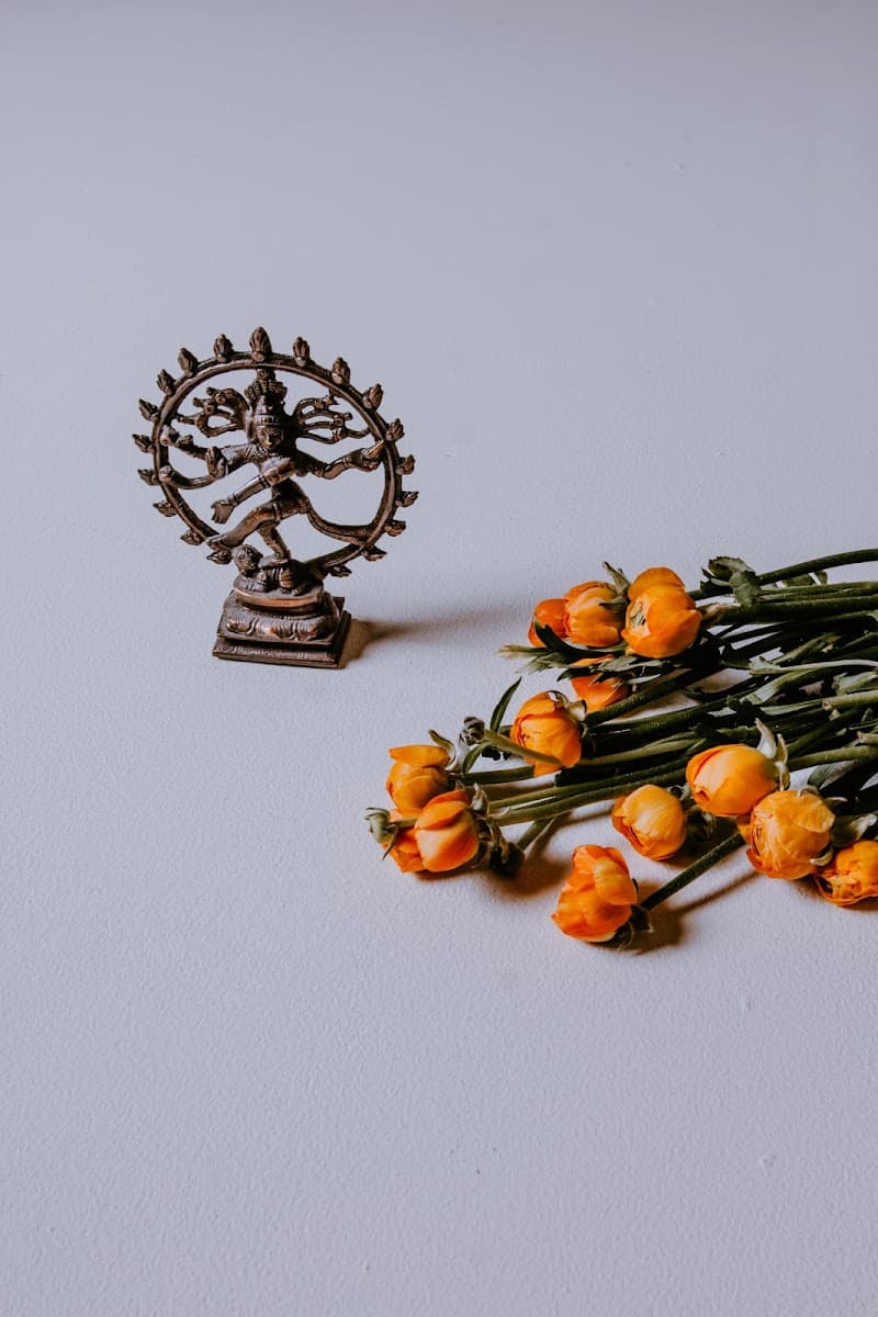 Akasha Ayurveda Lübeck photo