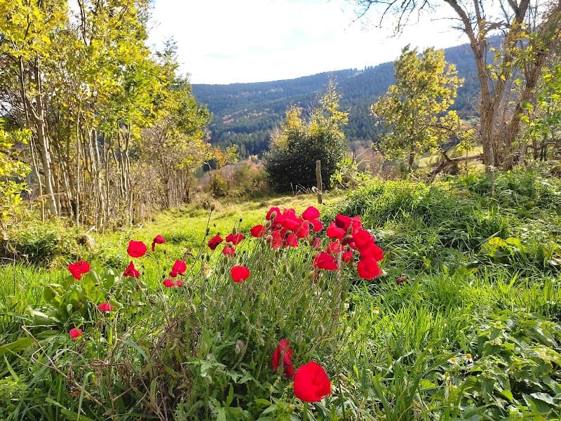 Akène Sème La Valla-sur-Rochefort photo