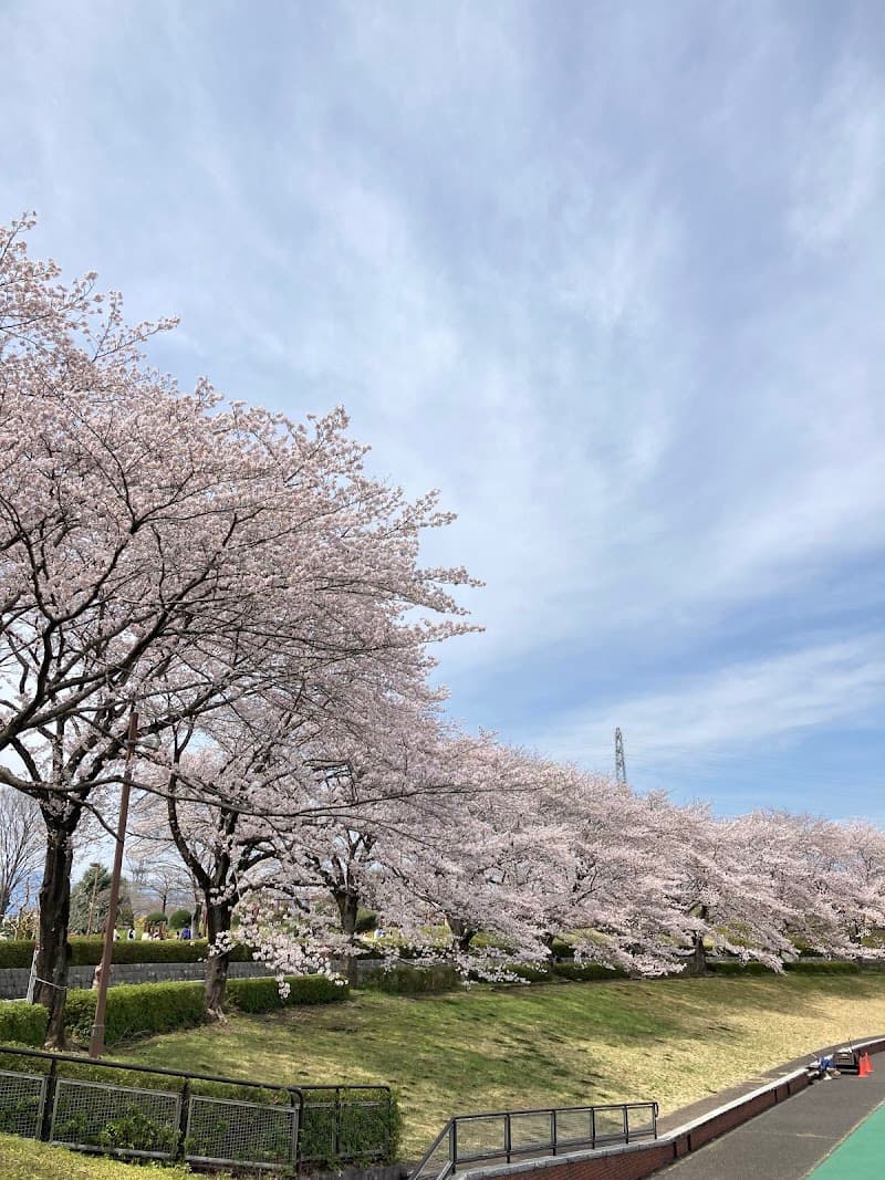 Akiru no Shiki Akiruno City photo