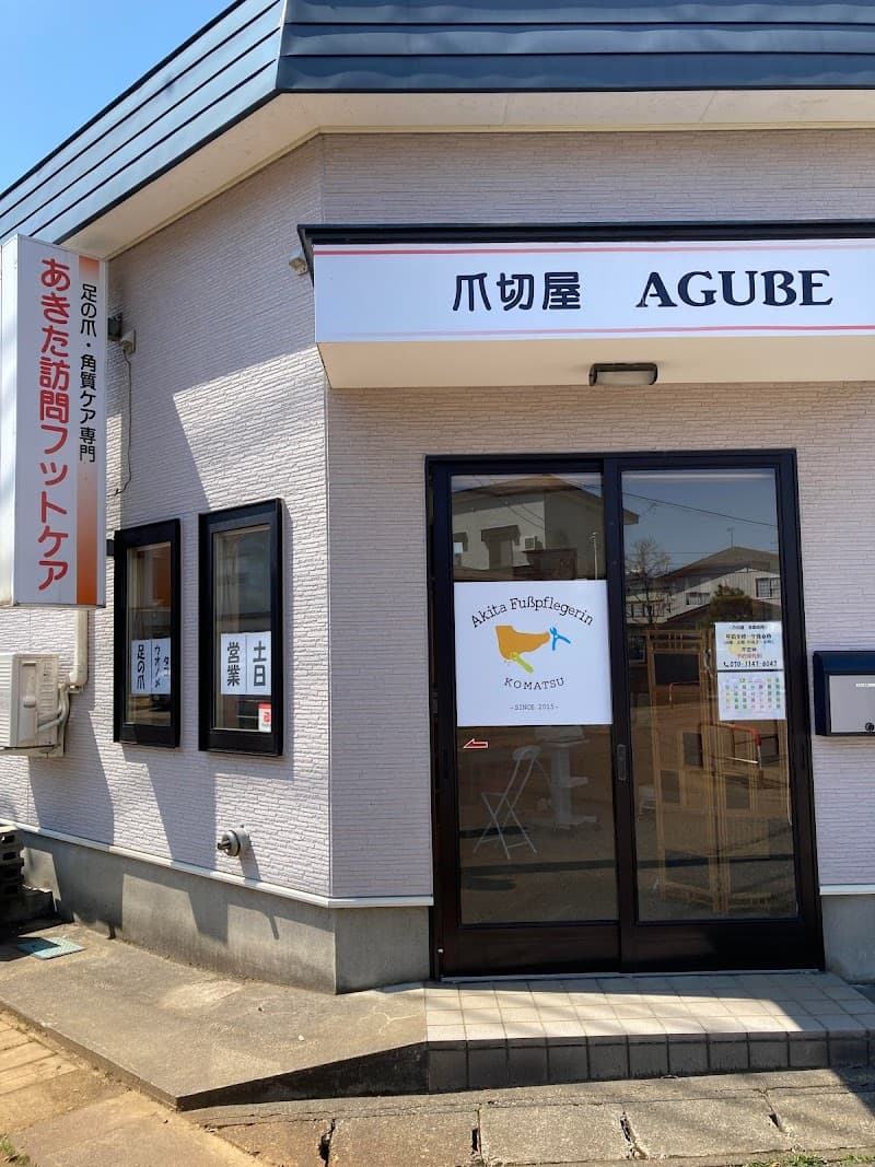 Akita Home Visit Foot Care Daisen City photo