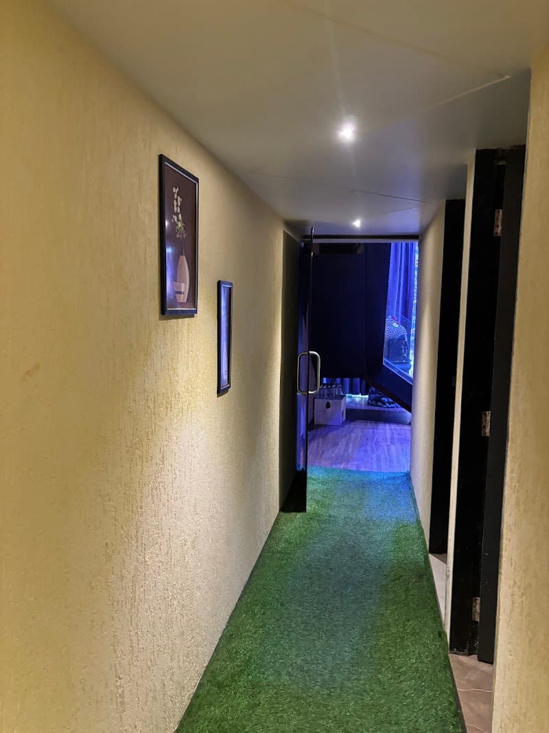 Alcazar Spa Cg Road Ahmedabad photo
