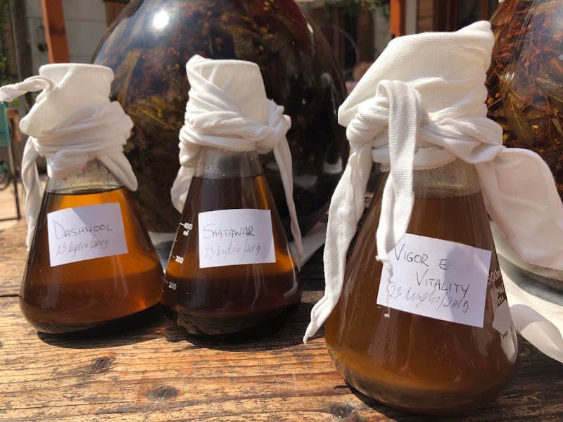 Alchimia Bassano del Grappa photo