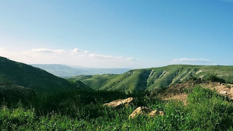 Aldef Honey Deir Abi Saeed photo