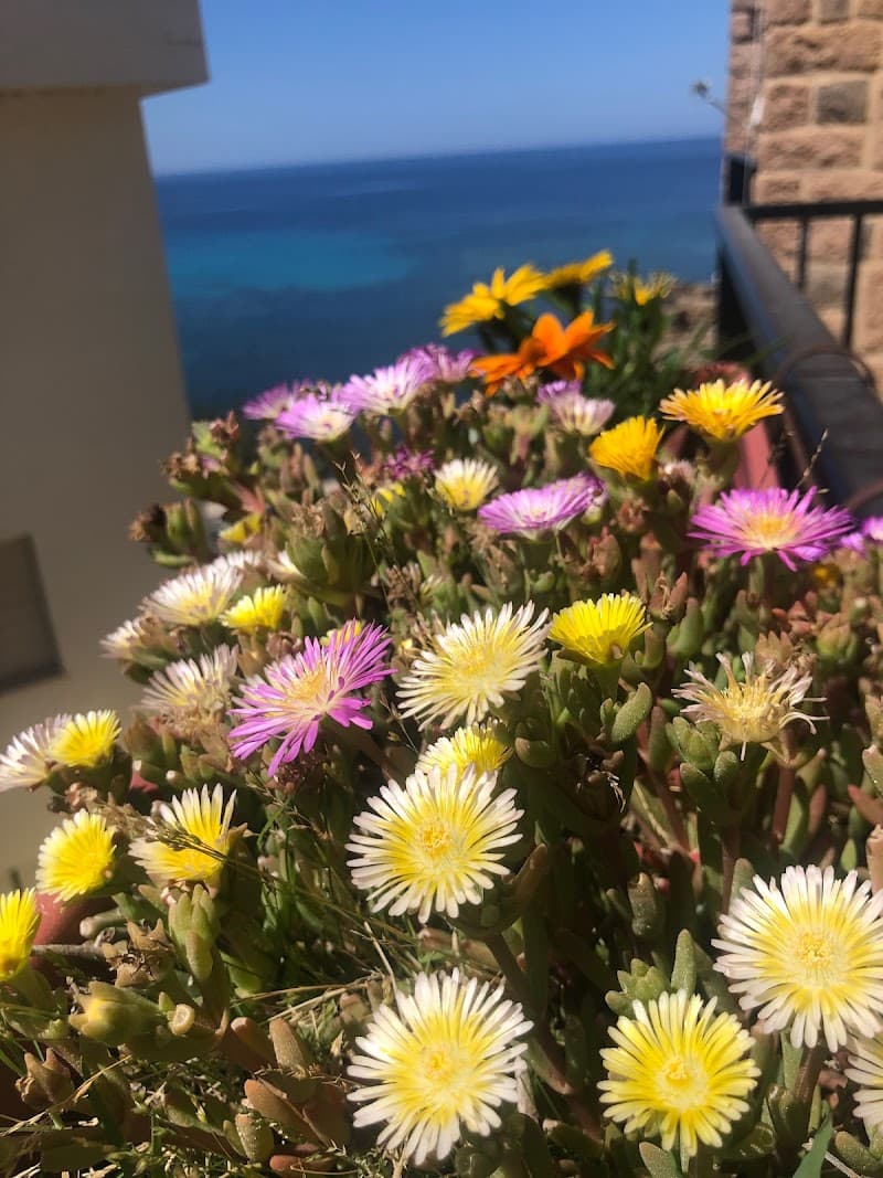 Alegria Wellbeing House Alghero photo