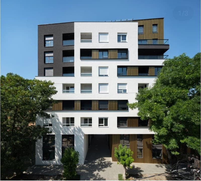 Alek Academy Petra Drapšina 9 photo