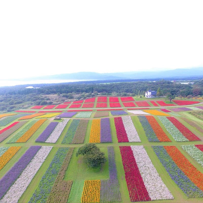 ALICE no Tobira (Alice's Door) Sendai photo