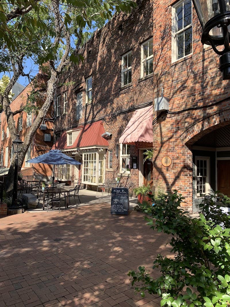 Alisa Schneidman, LMT, BCTMB, CRM & CST Practitioner Wilmington photo