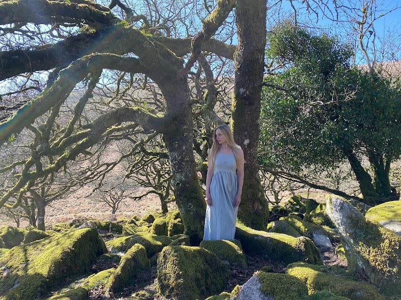 Alison Guest Energy Healer and Aromatherapist Plymouth photo