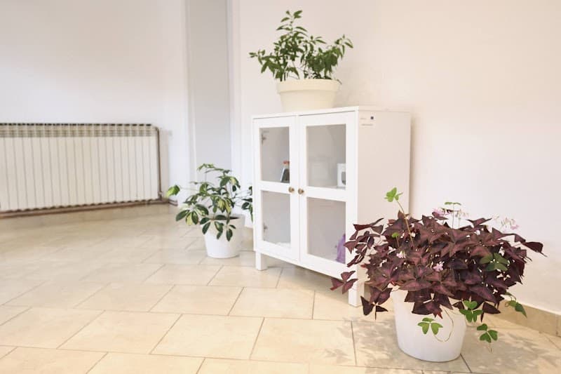 Alkiona, Downtown relax&massage club Čakovec photo