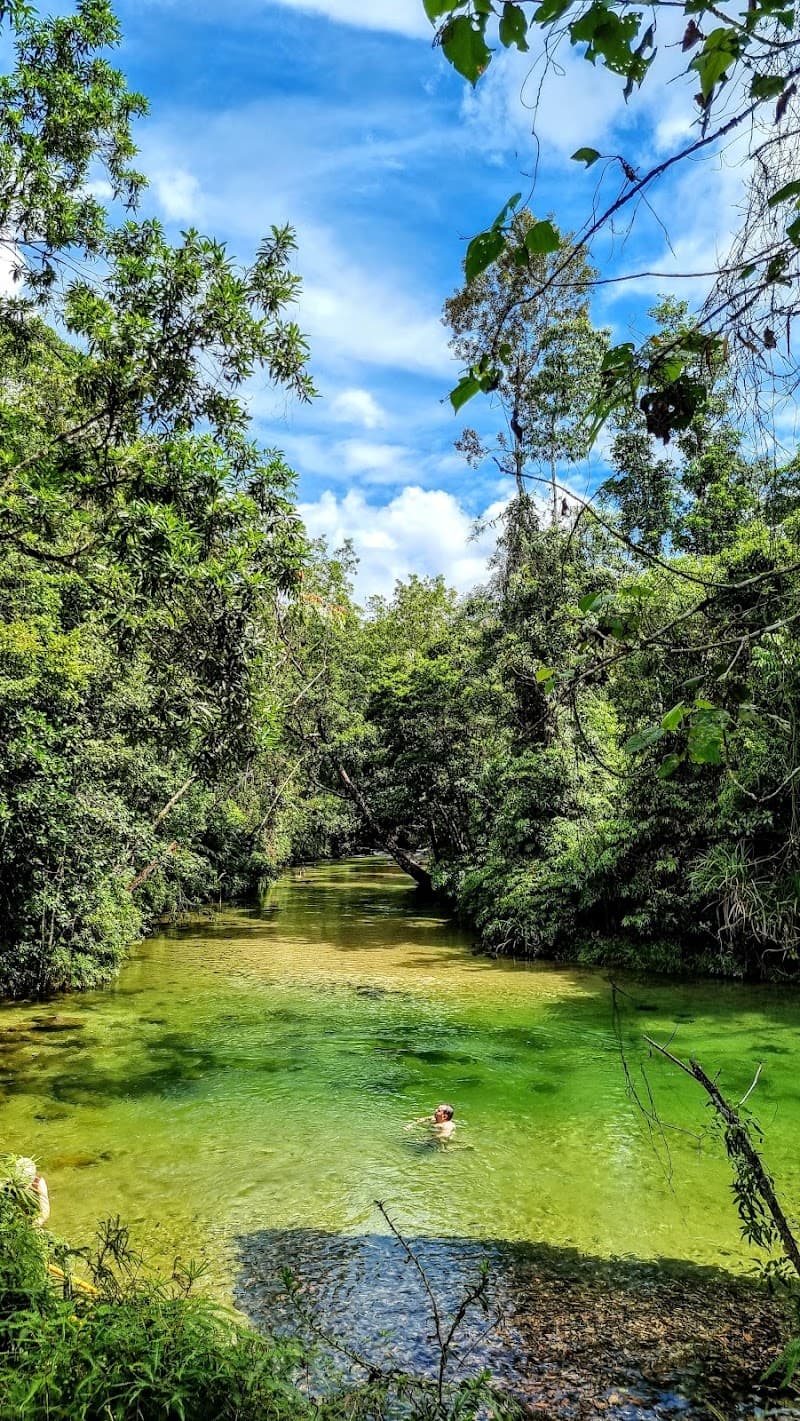 Alligators Nest Feluga photo