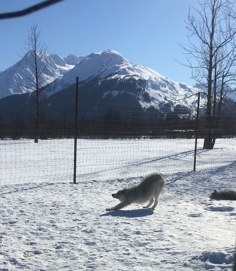 Allmungs Yogamassage / Gotland Havdhem photo