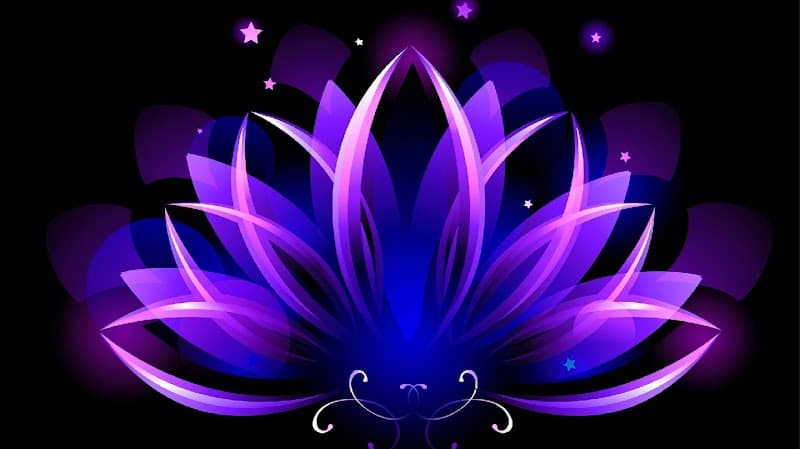 Allure Laser Med Spa Waipahu photo