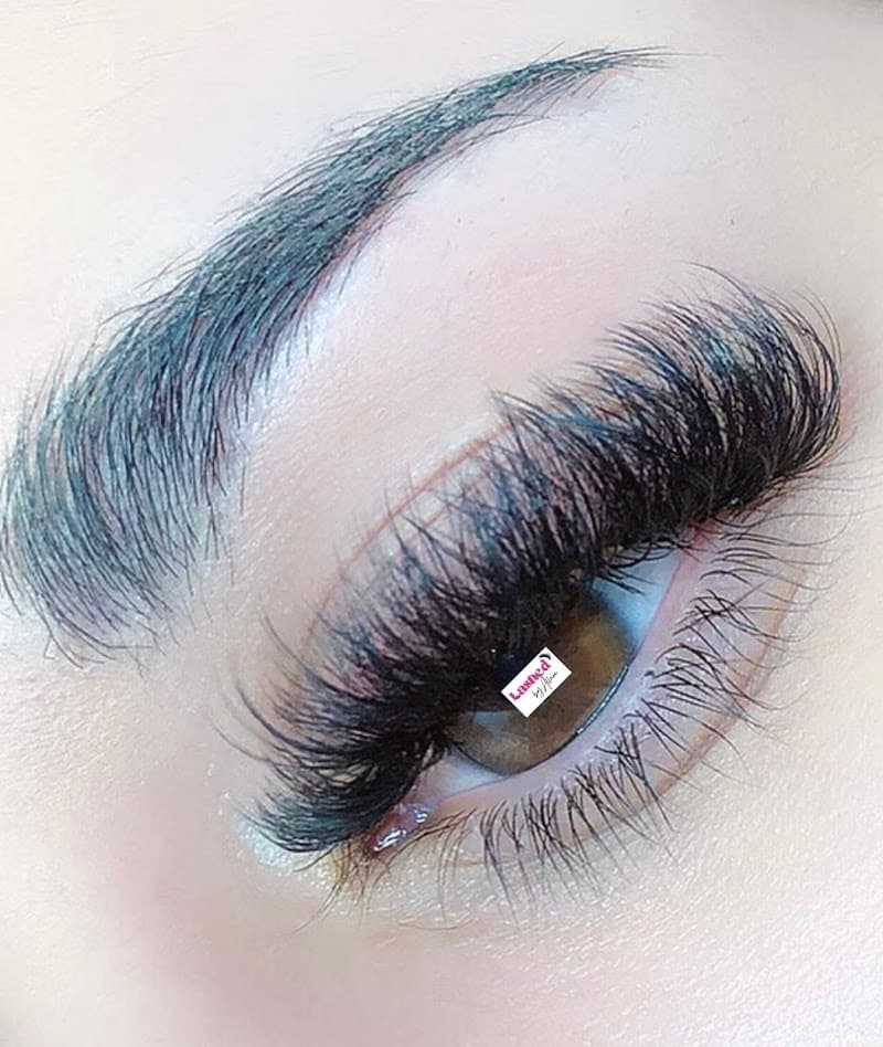 Allure Lashes & Laser Indianapolis photo