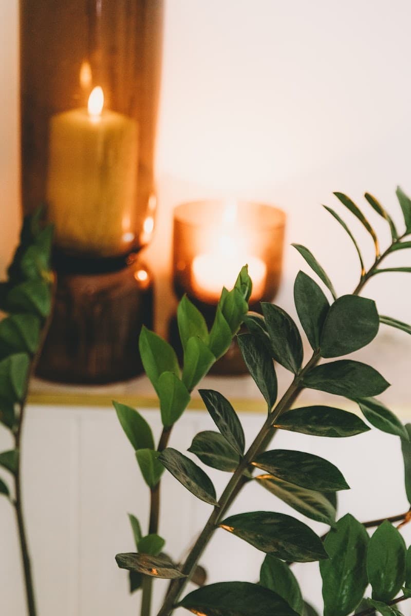 Allure Skincare Maitland photo