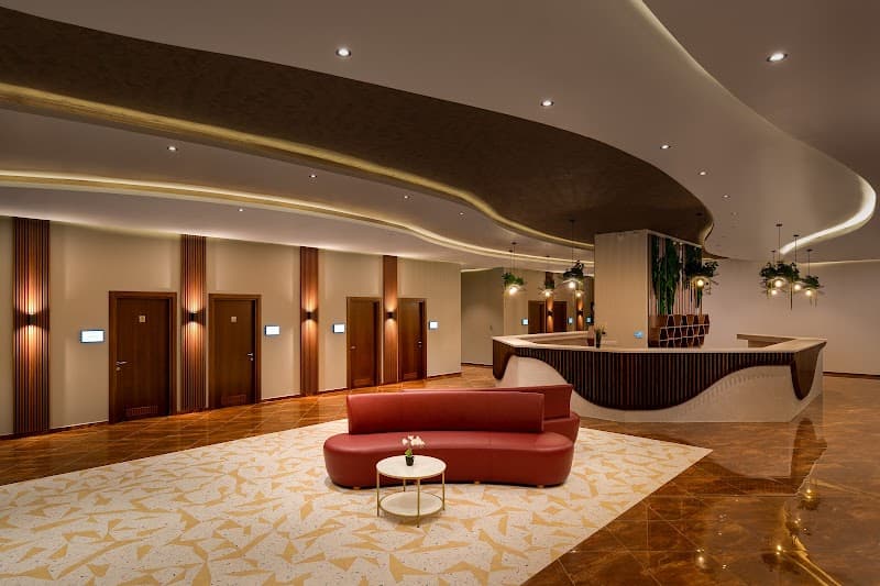 Alma Health Center Chiscani photo