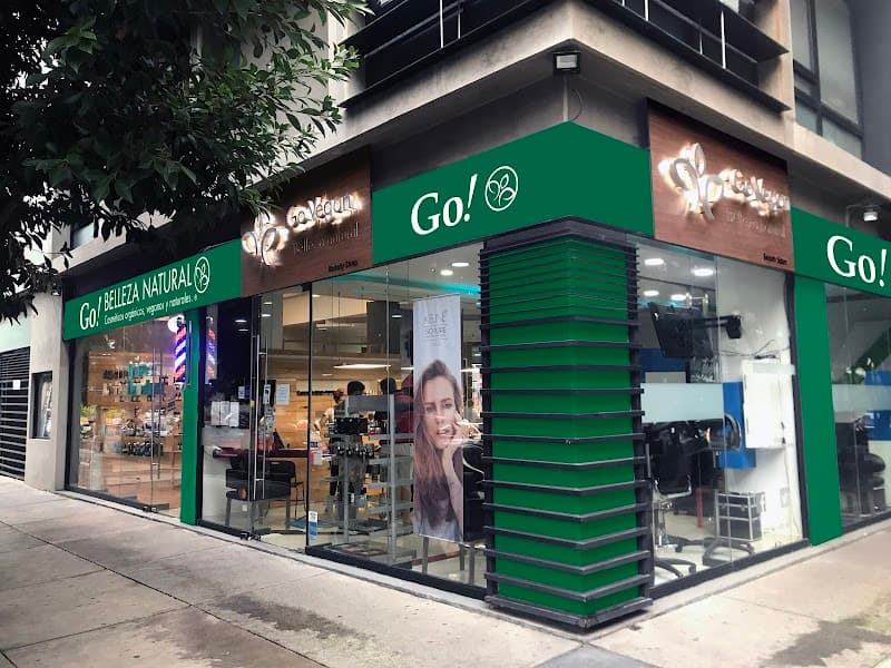 Alma Vagan Beauty and Academy Mexico City photo