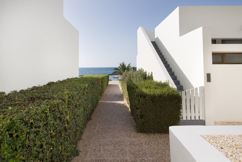 Almyra Hotel Paphos photo